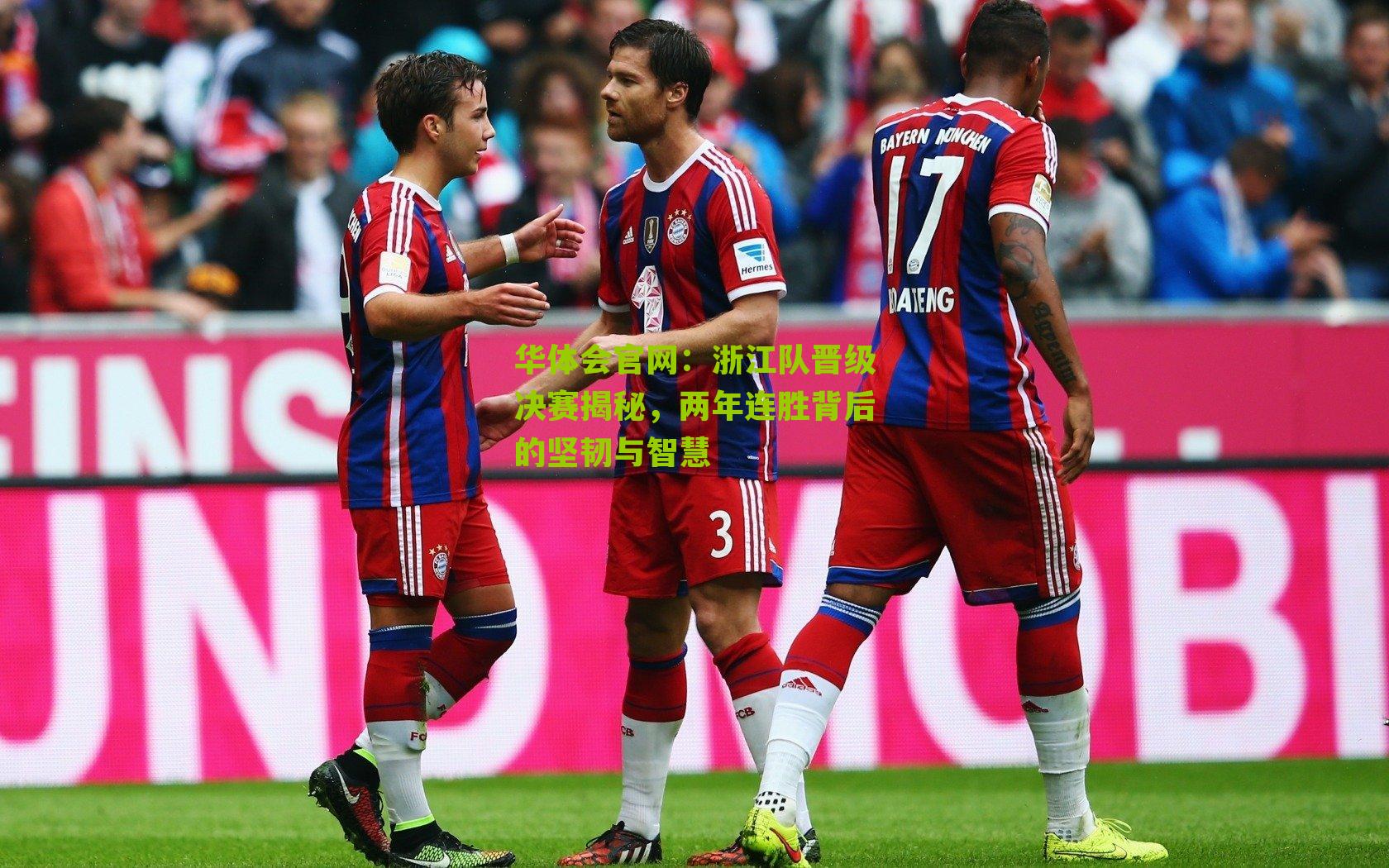 浙江队晋级决赛揭秘,两年连胜背后的坚韧与智慧